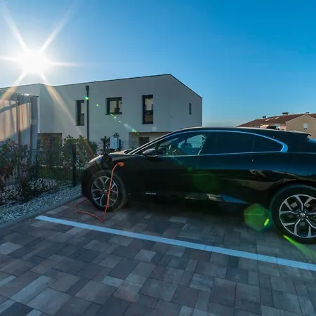 Pinna - Supin * Pola