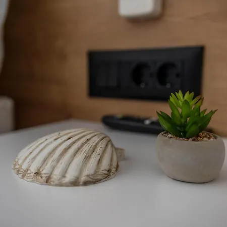 Διαμέρισμα Pinna - Supin