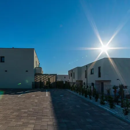 Pinna - Supin * Pola