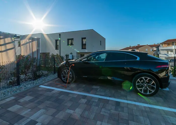 Pinna - Supin * Pula