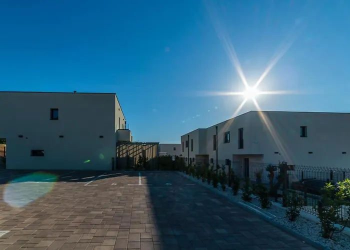 Pinna - Supin * פולה